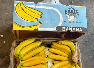 Delivered with Care