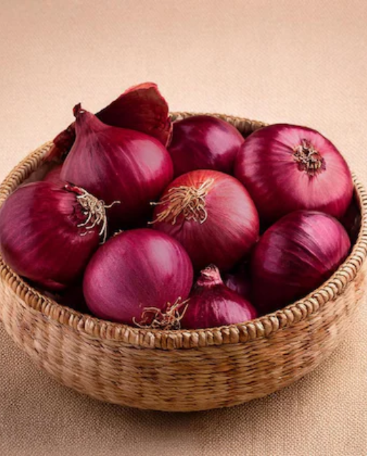Indian Onion Export Supply Chain